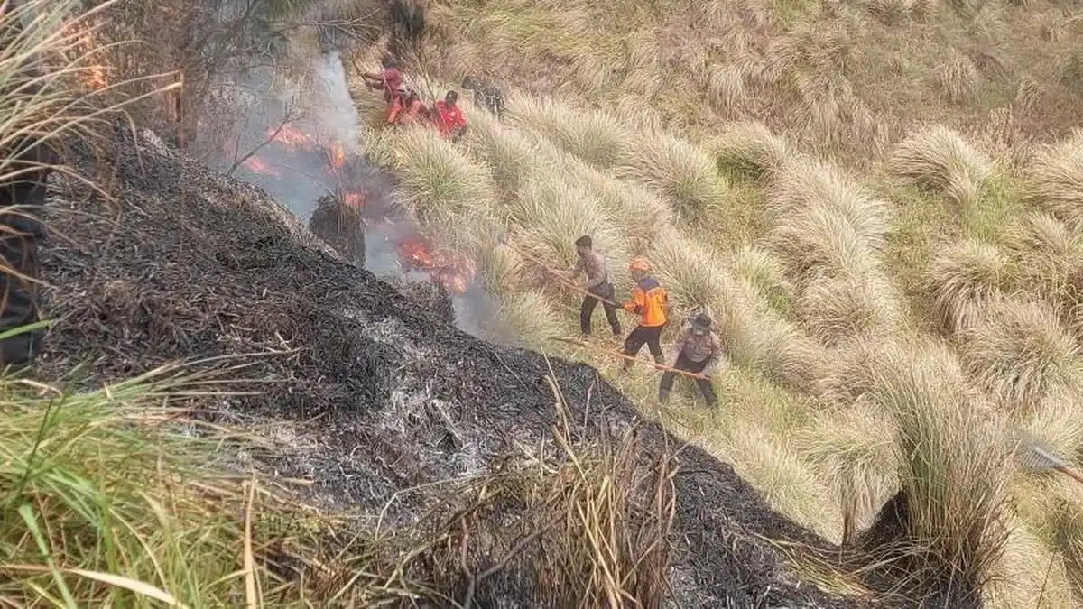Kebakaran di Bromo Renggut Tiga Nyawa Saat Upaya Pemadaman