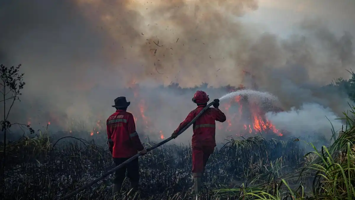 Asap Karhutla Tekan Kualitas Udara di Sejumlah Wilayah Indonesia