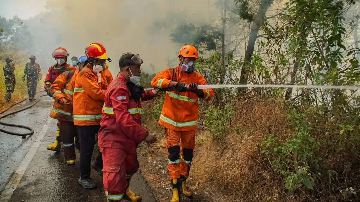 Dua Korban Luka Karhutla Bromo Dirujuk untuk Operasi di Surabaya