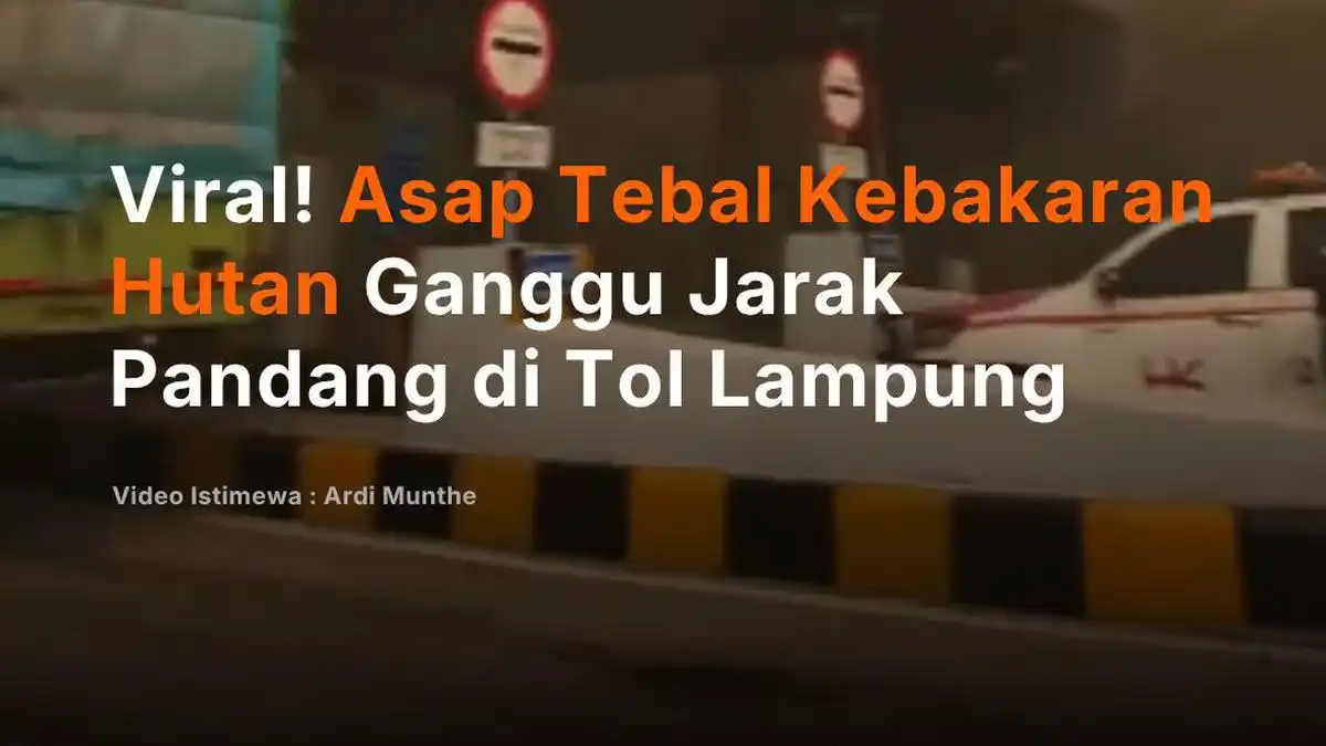 Asap Kebakaran Lahan Ganggu Jarak Pandang di Tol Terpeka, Lampung