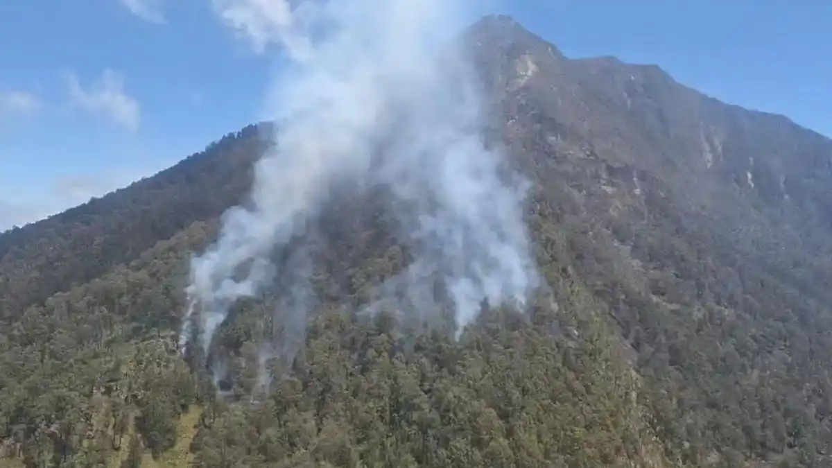 Karhutla Kembali Terjadi di Gunung Arjuno, Tim Bergerak untuk Memadamkan Api