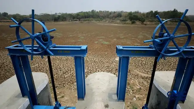 Kemarau Enam Bulan Mengeringkan Situ Rawa Bedeng, Warga dan Petani Terdampak