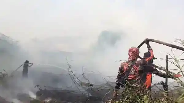 Api Gambut Kembali Membesar di Sampit, Pemadaman Terkendala Lalu Lintas