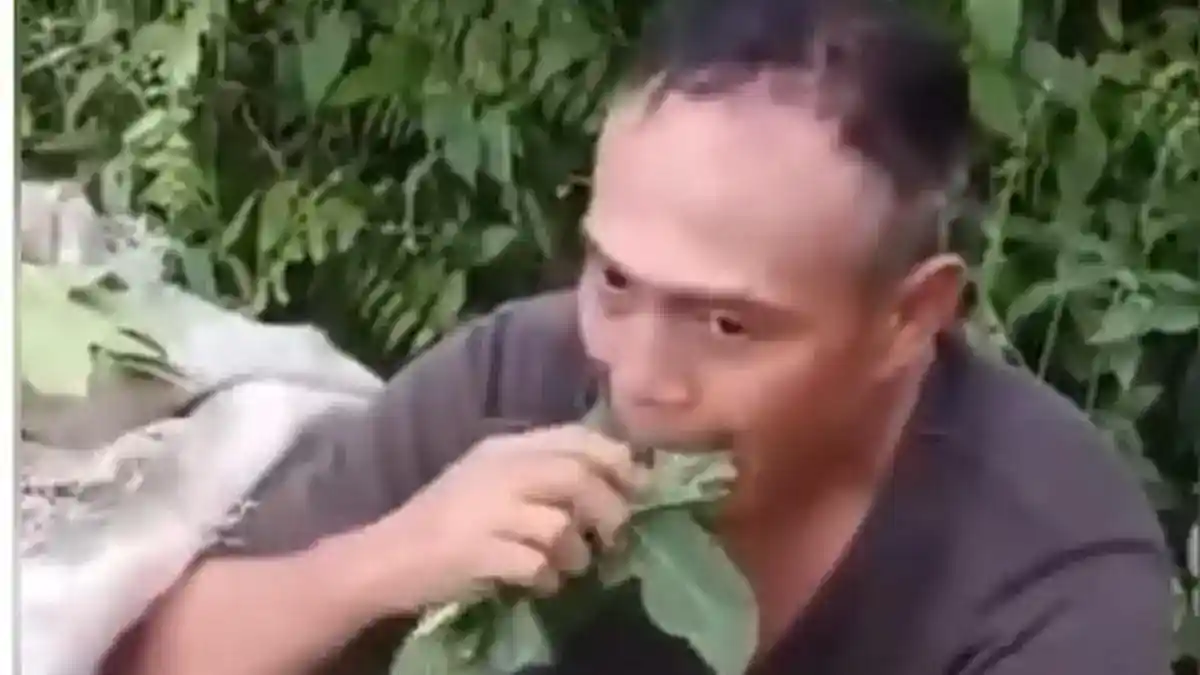Dua Pria Diduga Ambil Daun Pepaya di Deli Serdang, Polisi Klarifikasi Kasus