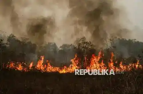 BNPB Catat 18 Ribu Hektare Karhutla Masih Terbakar di Sumatra dan Kalimantan