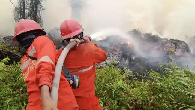 BNPB Catat 1.007 Karhutla, Ribuan Hektare Masih Ditangani