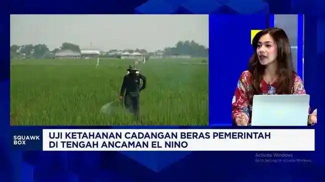 Cadangan Beras Pemerintah Menguat, Bagaimana Dampaknya bagi Petani?