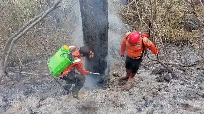 BNPB Pantau Karhutla di Tiga Kabupaten Jawa Barat dan Jawa Tengah