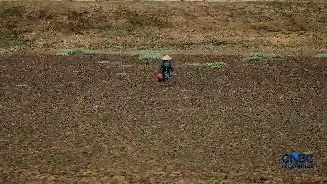 Proyeksi Dampak Panas El Niño: Indonesia Diperkirakan Menghadapi 19.251 Kematian Tambahan