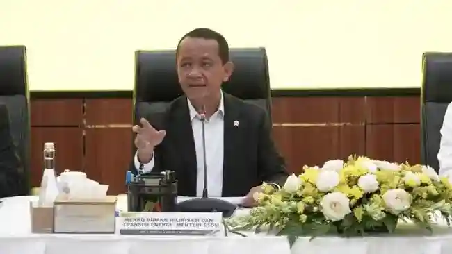 PLTN di Kepri Masuk Kajian, Pemerintah Siapkan Target Pasokan Nuklir Nasional