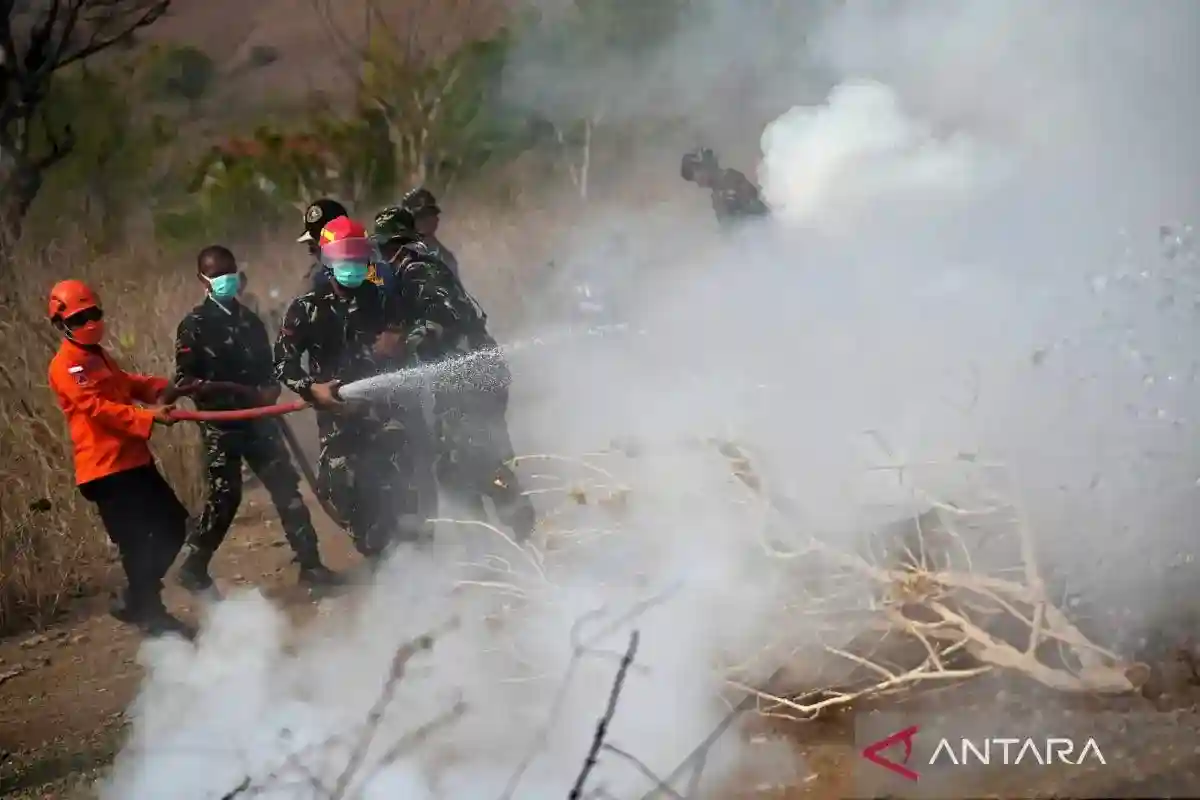 Respons Karhutla dan Sejumlah Kebijakan Publik dalam Sorotan Berita
