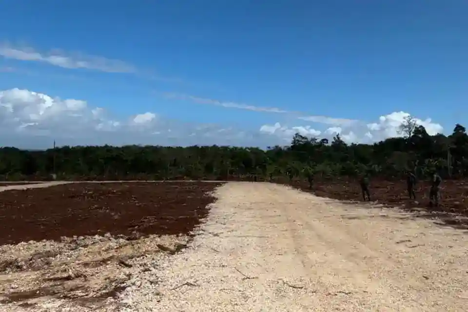 Masela Bidik Produksi LNG Paling Lambat pada Akhir 2030