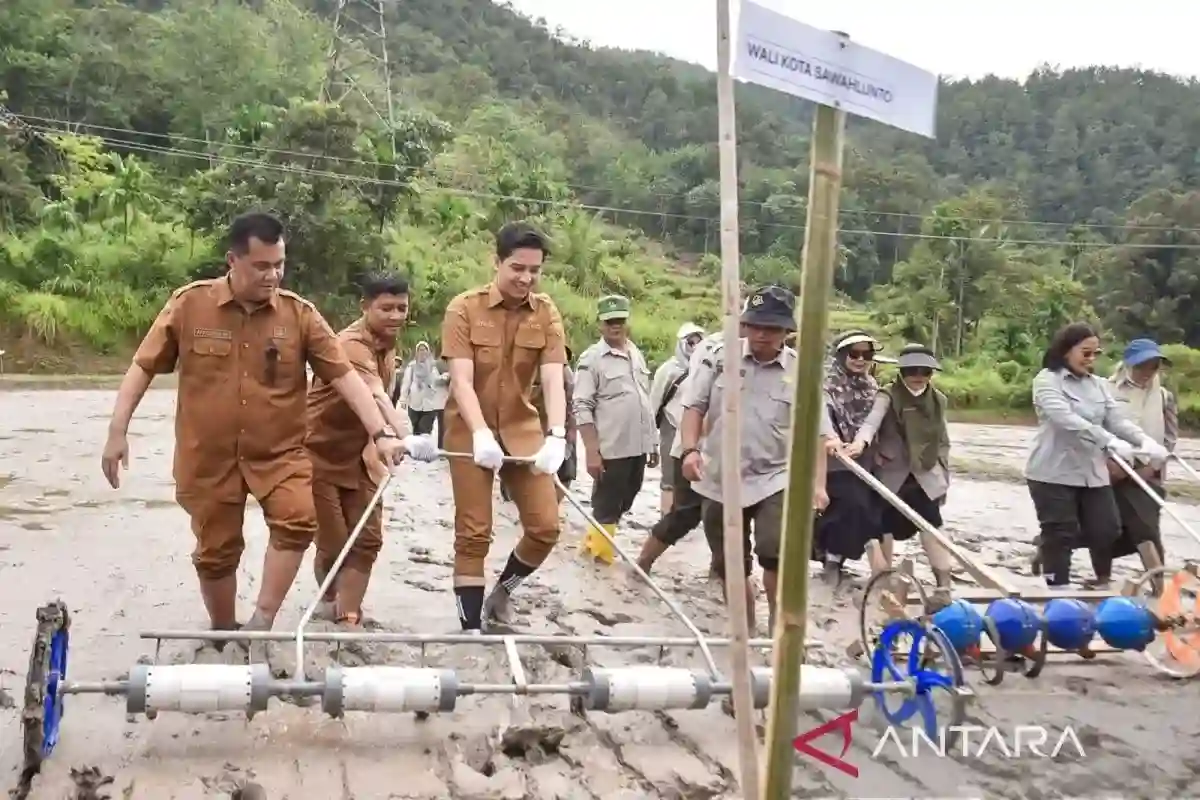 Sawahlunto Uji Pertanian Modern dan Kemitraan Petani di Desa Salak