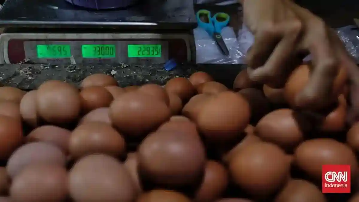 Harga Telur Tak Sejalan dari Kandang ke Konsumen, Pemerintah Siapkan Penyerapan
