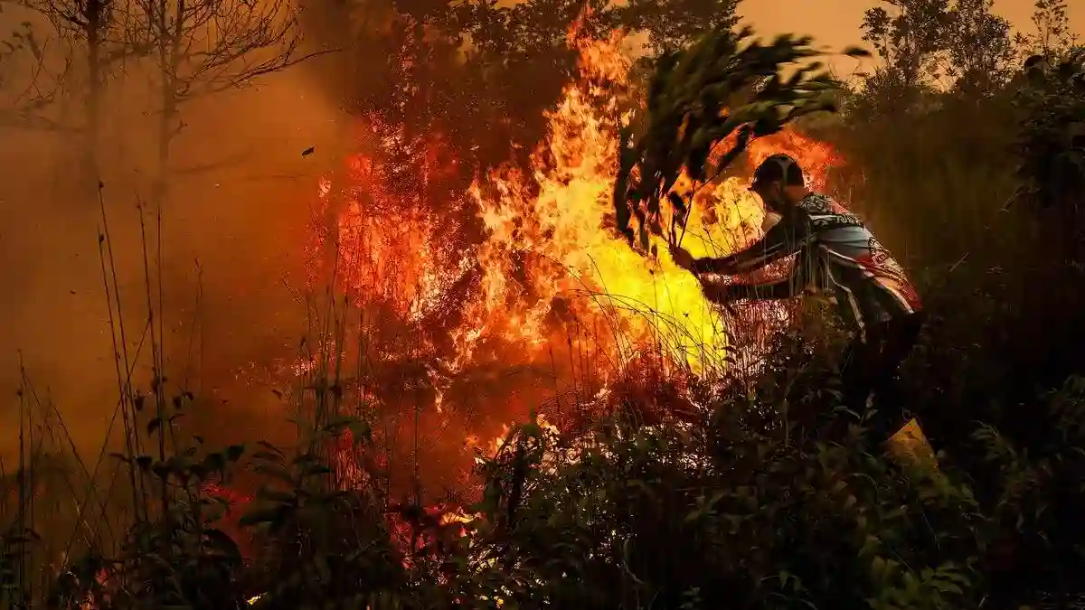 20 Korporasi Jadi Tersangka Karhutla, Area Terbakar Capai 29.168,78 Hektare