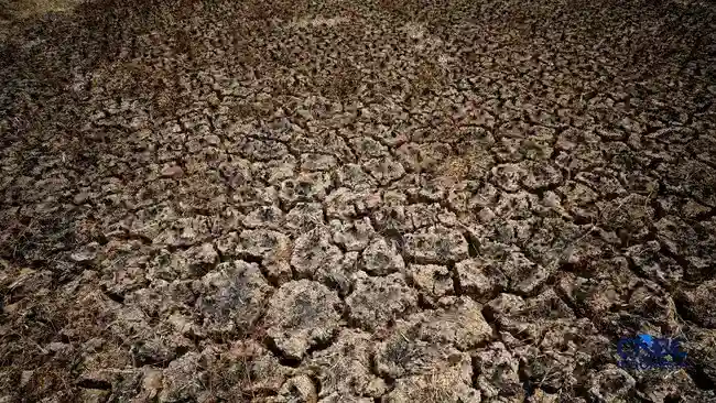 Proyeksi Dampak Super El Niño: Perkiraan Kematian dan Langkah Menghadapi Panas Ekstrem