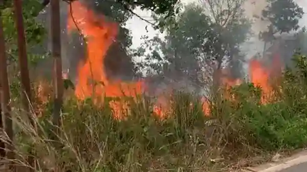 Karhutla di Kalimantan Selatan Berlanjut, Pemadaman Terkendala Air